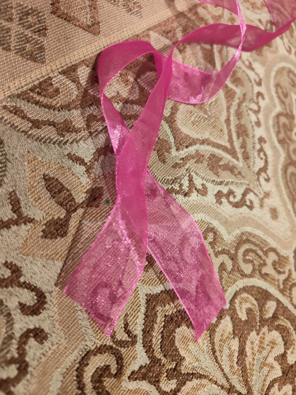 Bright Pink Sheer Organza Ribbon for Party Decorations